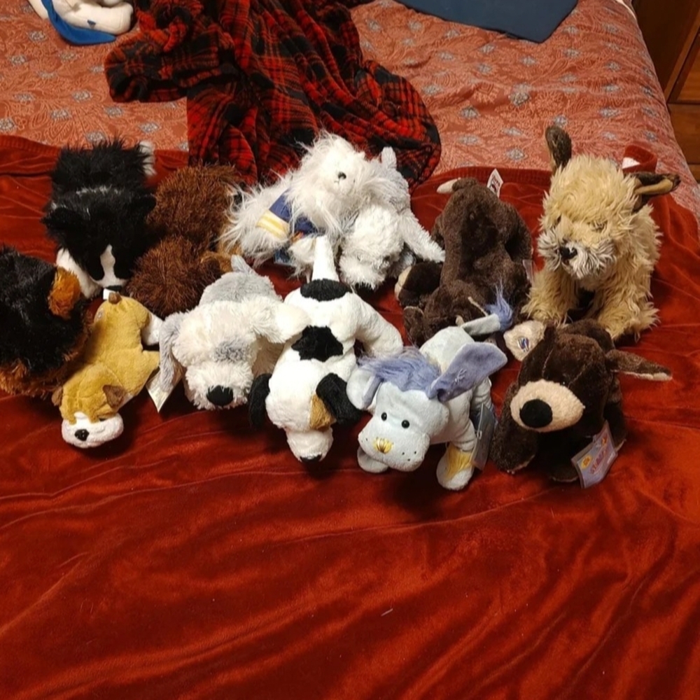Assorted Webkinz Lot